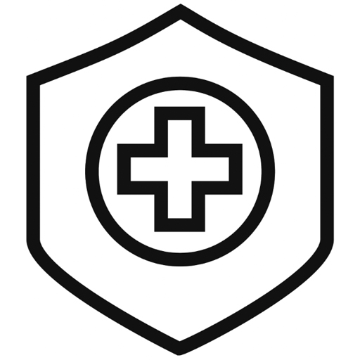 cybersecurity icon